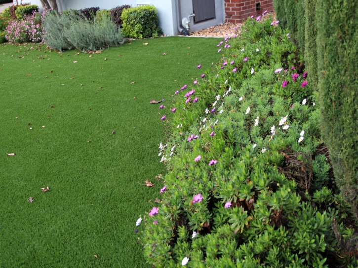 Synthetic Grass Ak-Chin Village, Arizona Paver Patio, Front Yard