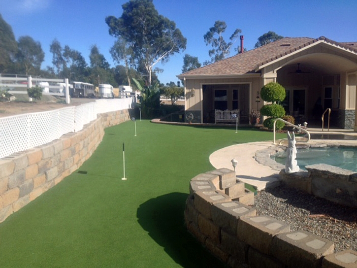 Synthetic Grass Avra Valley, Arizona Backyard Playground, Backyard Landscape Ideas