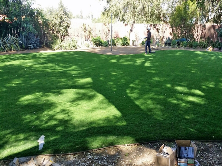 Synthetic Grass Chandler, Arizona Rooftop, Small Backyard Ideas