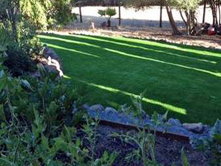 Synthetic Grass Cost Ak Chin, Arizona Lawns, Backyard Garden Ideas