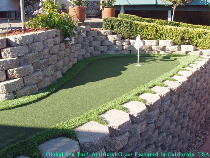 Synthetic Grass Cost Casas Adobes, Arizona Golf Green, Backyard