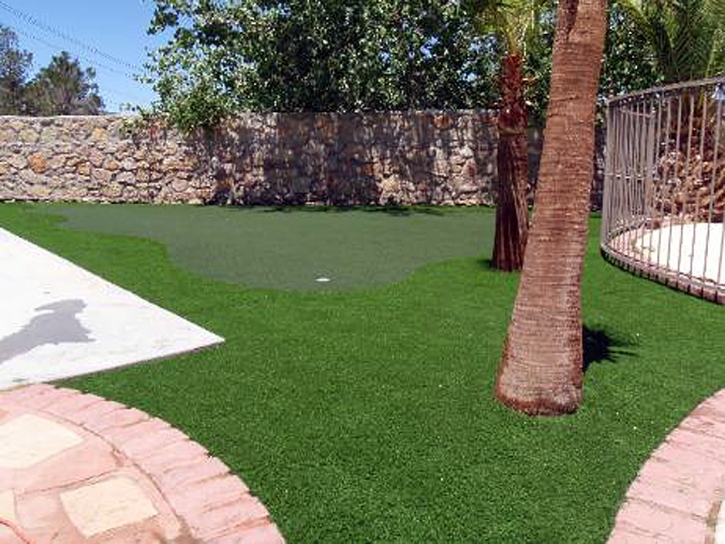 Synthetic Grass Cost Gu Oidak, Arizona Landscaping Business, Backyard Design