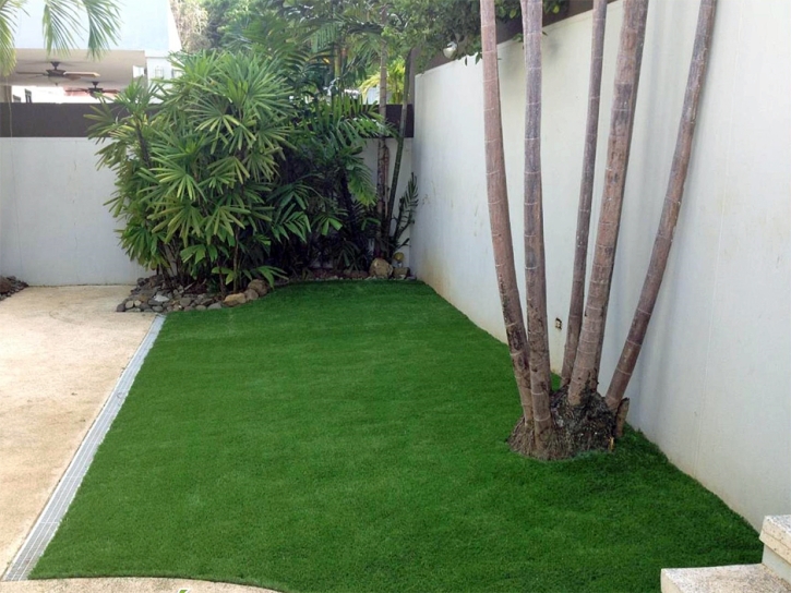 Synthetic Grass Cost Morenci, Arizona Design Ideas, Backyard Garden Ideas