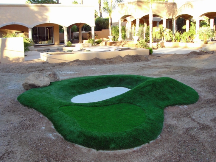 Synthetic Grass Cost Munds Park, Arizona Backyard Putting Green, Commercial Landscape