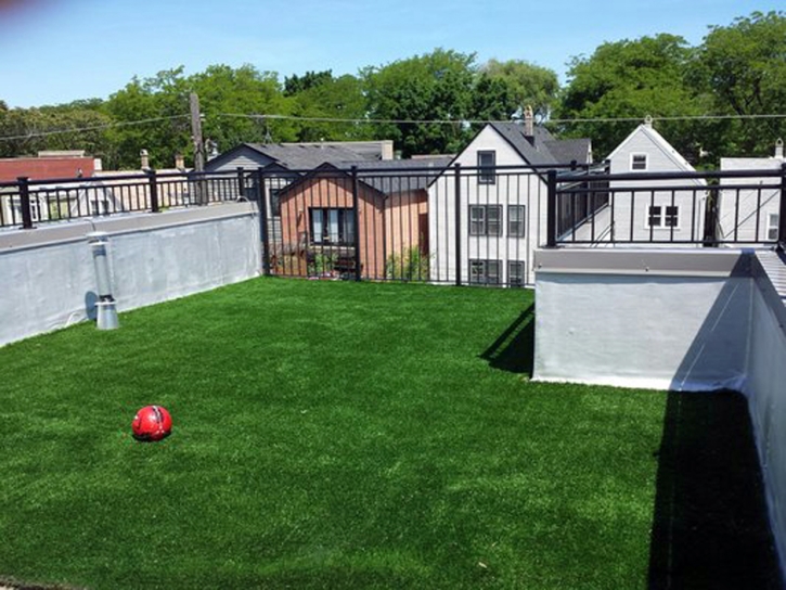 Synthetic Grass Cost Solomon, Arizona Pet Turf, Roof Top