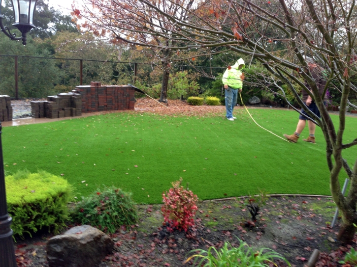 Synthetic Grass Cost Wickenburg, Arizona Landscaping, Backyard Garden Ideas