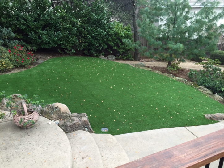 Synthetic Grass Eagar, Arizona Landscaping, Backyard Garden Ideas