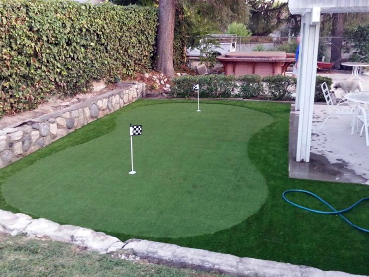 Synthetic Grass Gisela, Arizona Putting Green Carpet, Backyard Garden Ideas