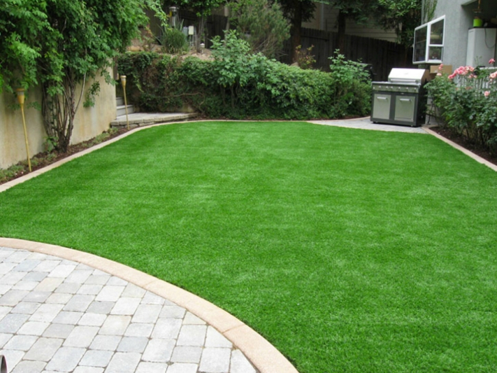 Synthetic Grass Haivana Nakya, Arizona Lawn And Landscape