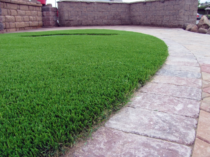 Synthetic Grass Mesa del Caballo, Arizona Pet Turf, Front Yard Landscaping Ideas