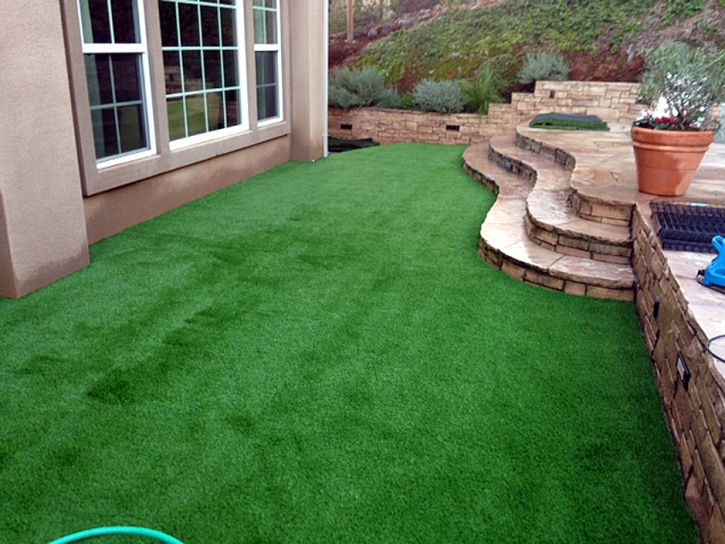 Synthetic Grass Mesa del Caballo, Arizona Landscape Photos, Backyards