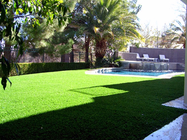 Synthetic Grass Mescal, Arizona Landscaping Business, Backyard Garden Ideas