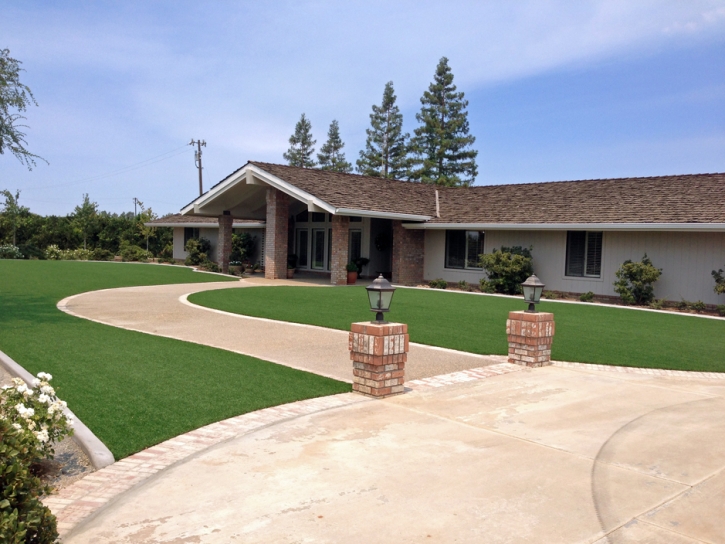 Synthetic Grass Strawberry, Arizona Lawn And Garden, Front Yard Landscaping Ideas