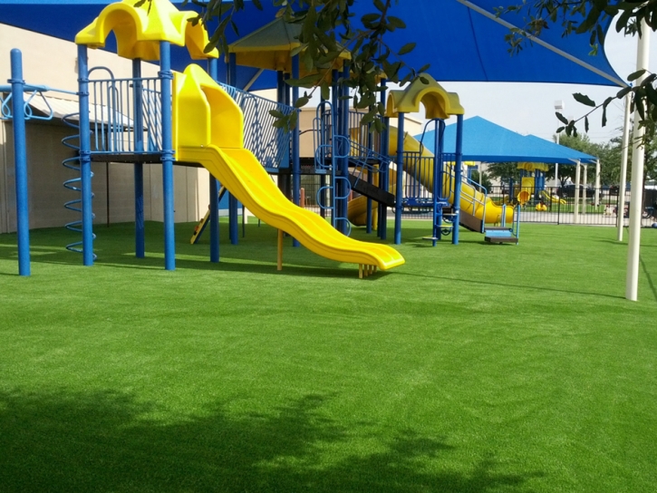 Synthetic Lawn Alpine, Arizona Backyard Playground, Commercial Landscape