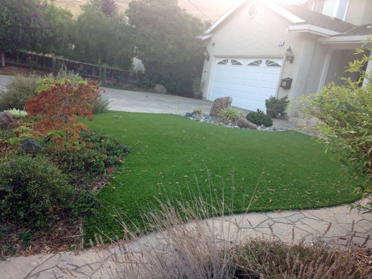 Synthetic Lawn Arivaca Junction, Arizona Rooftop, Front Yard Landscape Ideas