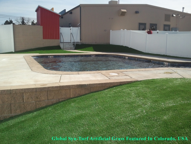 Synthetic Lawn Catalina, Arizona Roof Top, Above Ground Swimming Pool