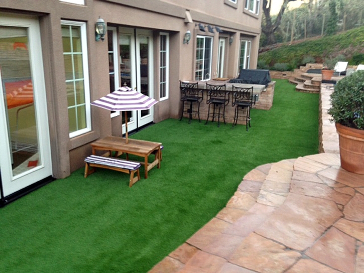 Synthetic Lawn McNary, Arizona Landscape Design, Backyard Design