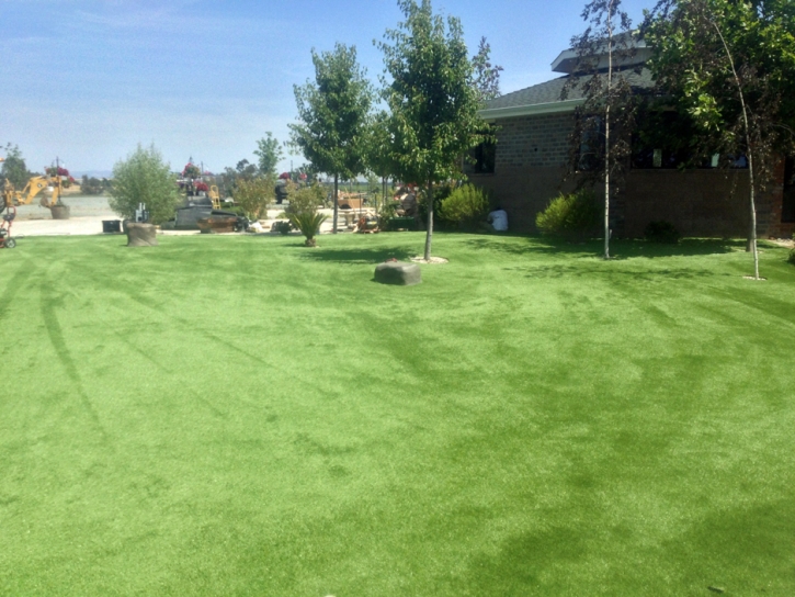 Synthetic Lawn San Jose, Arizona Dog Parks, Parks