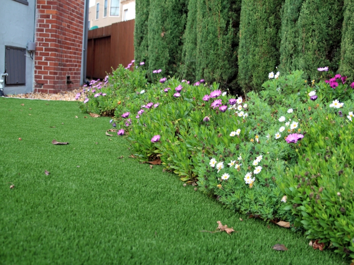 Synthetic Lawn Scottsdale, Arizona Landscape Photos, Front Yard Landscaping