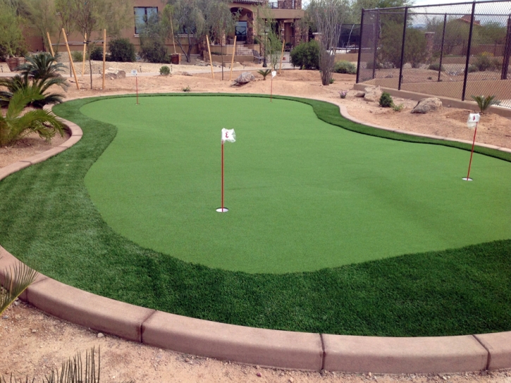 Synthetic Turf Beyerville, Arizona Roof Top, Backyards