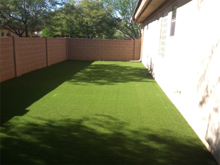 Synthetic Turf Greer, Arizona Design Ideas, Front Yard Landscaping Ideas