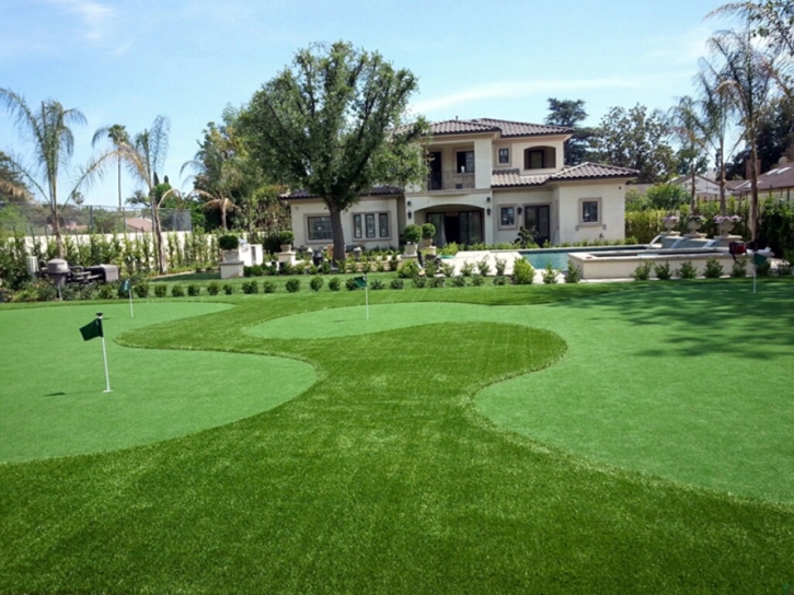 Synthetic Turf Kearny, Arizona Putting Green, Landscaping Ideas For Front Yard