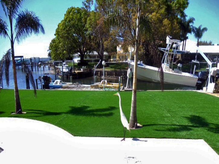 Synthetic Turf Nelson, Arizona Landscaping, Backyard Landscape Ideas