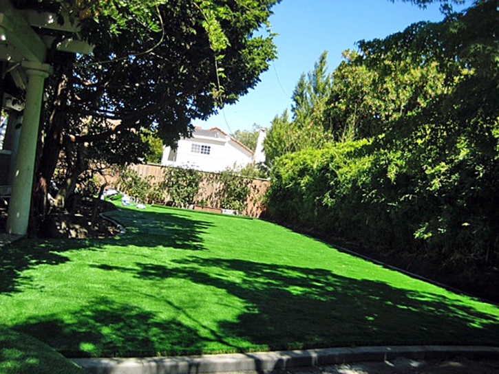 Synthetic Turf Nogales, Arizona Gardeners, Backyard