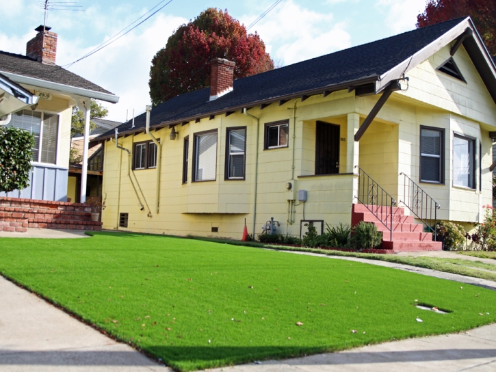 Synthetic Turf Pinedale, Arizona City Landscape, Front Yard Design