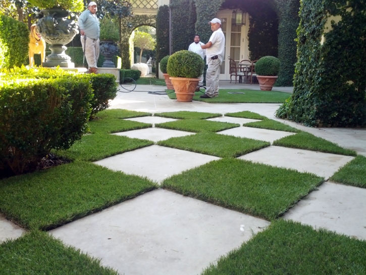 Synthetic Turf Saint David, Arizona Gardeners, Pavers