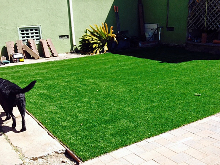 Synthetic Turf Supplier Fort Thomas, Arizona Hotel For Dogs, Small Backyard Ideas