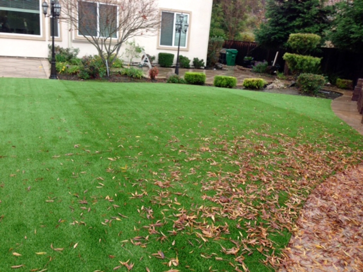 Synthetic Turf Supplier Nelson, Arizona Lawn And Landscape, Backyard Ideas