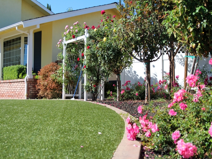 Synthetic Turf Supplier Pirtleville, Arizona Landscape Rock, Landscaping Ideas For Front Yard