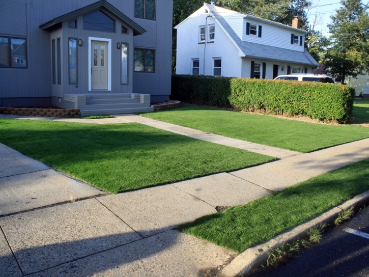 Synthetic Turf Supplier South Tucson, Arizona Landscaping, Landscaping Ideas For Front Yard