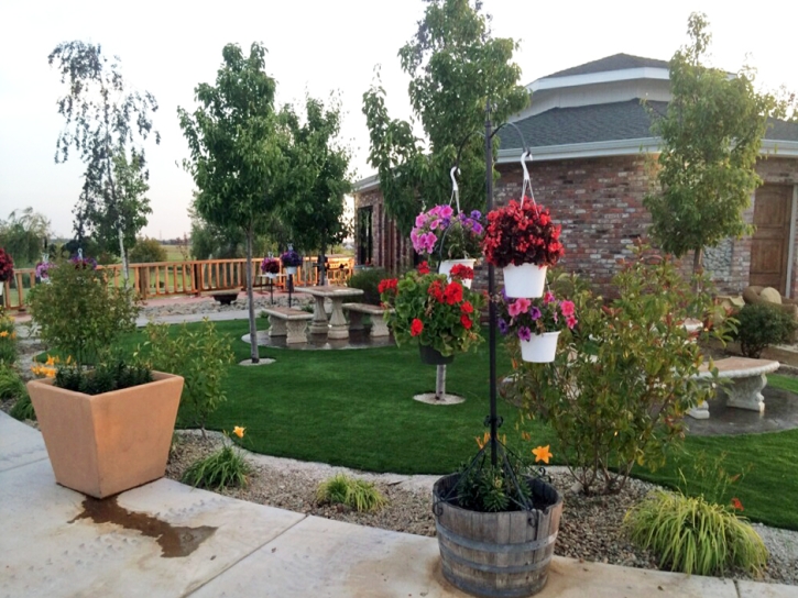 Synthetic Turf Supplier Willcox, Arizona Design Ideas, Commercial Landscape