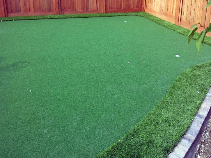 Turf Grass Beyerville, Arizona Putting Green Flags, Backyard Makeover