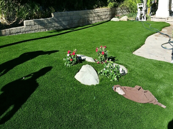 Turf Grass Bowie, Arizona Landscaping Business, Front Yard Landscaping