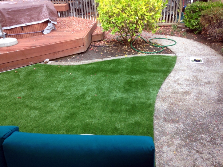 Turf Grass Cowlic, Arizona Backyard Deck Ideas, Backyard Designs