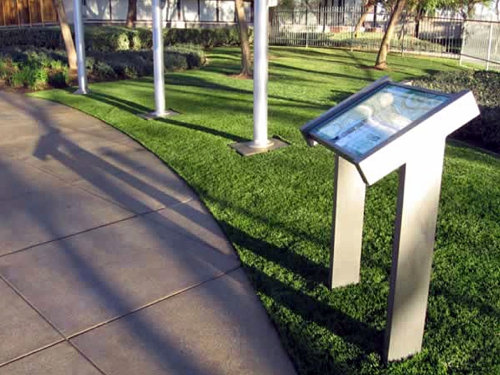 Turf Grass Elgin, Arizona Roof Top, Recreational Areas