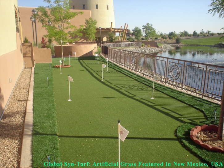 Turf Grass Flowing Wells, Arizona Design Ideas, Backyard Landscaping Ideas