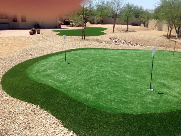 Turf Grass Fort Apache, Arizona Golf Green, Backyard Garden Ideas