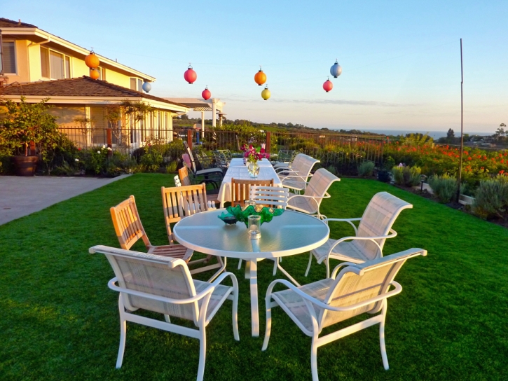 Turf Grass Sonoita, Arizona Rooftop, Backyard Ideas