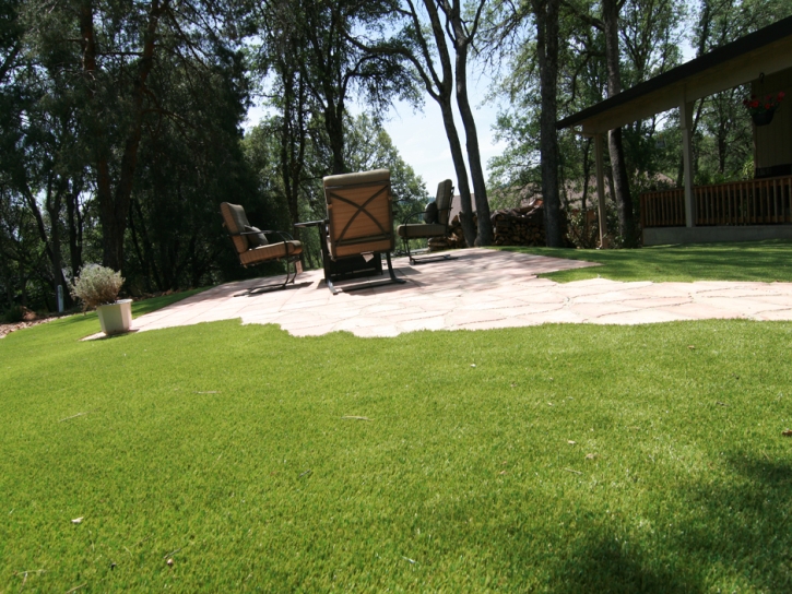 Turf Grass Wittmann, Arizona Landscape Ideas, Backyard Garden Ideas